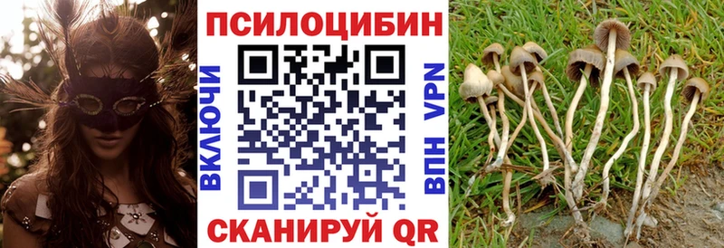 Псилоцибиновые грибы прущие грибы  цена   Баймак 
